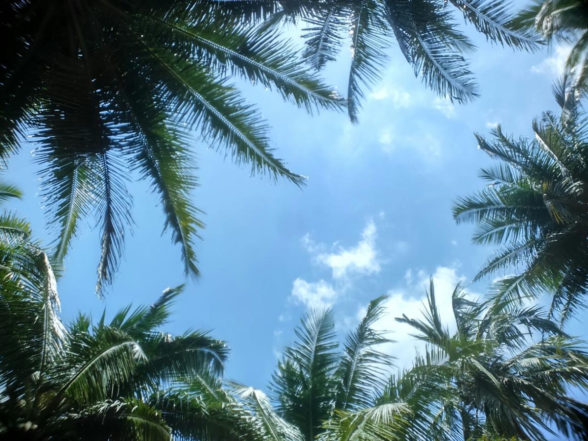Crossbill Beach Resort Govind Nagar Экстерьер фото